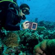 Universal Phone Waterproof Case Underwater Diving Camera Cover Fr iPhone/Samsung